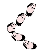 008