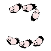 010