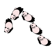 029