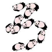 043