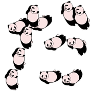 066