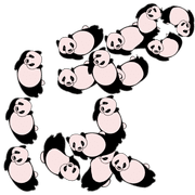 080