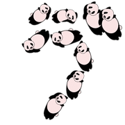 164