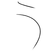003