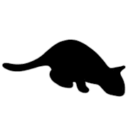 005