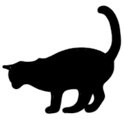 006