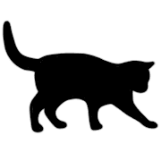 007