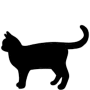 009