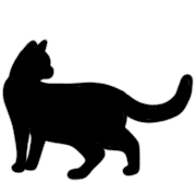 010