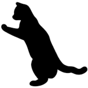 025