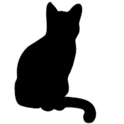 031