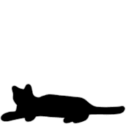 032