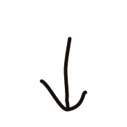 261