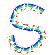 019