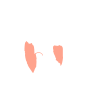 048