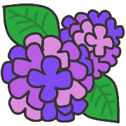 005