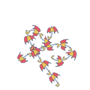 053