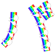 151