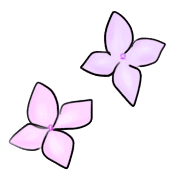 004