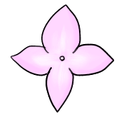 006