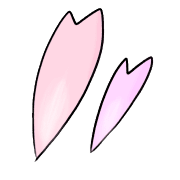 007