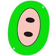 015