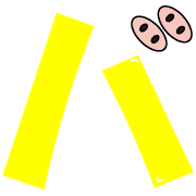 151