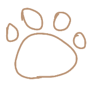 025