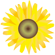 031