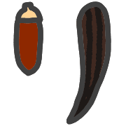 120