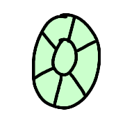 019