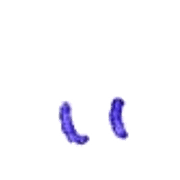 048