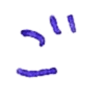 060