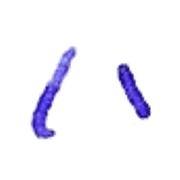 106
