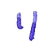 120