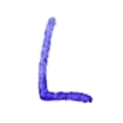 173