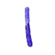 242