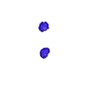 244