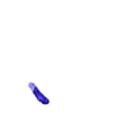 256