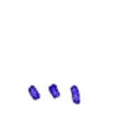 257