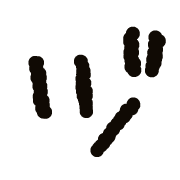 148