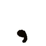 245