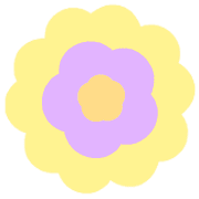 010