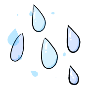 031