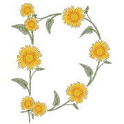 004