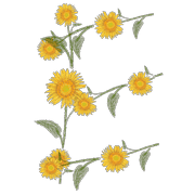 005