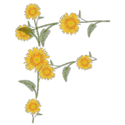 006