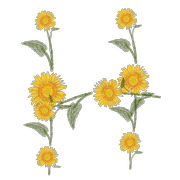 008