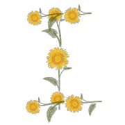 009