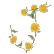 010